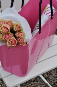  V�ska Hinza Rosa 