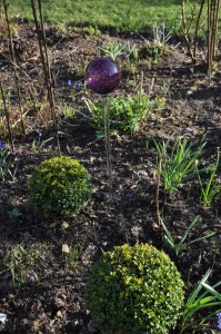  Glaskula p� pinne 