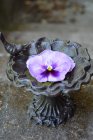F�gelbad "Anemone"