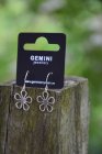 rhnge Blomma, silverfrgade, Gemini