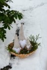 Majas Cozy Santa Frosty