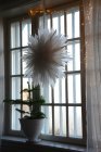 Pappersstjrna, DIS, 60 cm, TER I LAGER