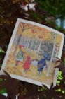 Disktrasa Elsa H�stpromenad