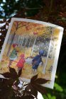 Disktrasa Elsa H�stpromenad