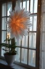 Pappersstjrna, DIS, 60 cm, TER I LAGER