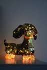 Hund belysning, inomhusdekoration