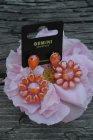 �rh�nge korallf�rgade blommor, Gemini