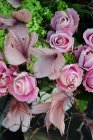 Fjäderknippen, "Blomma", gammelrosa