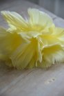 Fj�derknippen "Blomma", gul