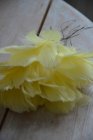 Fj�derknippen "Blomma", gul