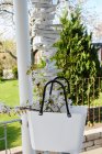 V�ska Hinza, vit, liten