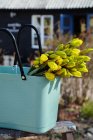 Vska Hinza, Green Plastic, Olivgrn liten