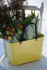 Vska Hinza, Green Plastic, Citrongul, liten