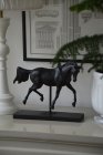 H�st elegant