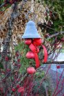 Klocka gr, Eldgarden