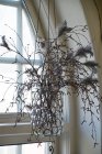 Fjderknippen "blomma" prlhns