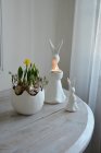 Majas kanin till vrmeljus, Majas Cottage