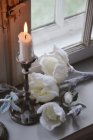 Magnolia med sn