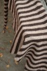 Randig stickad scarf