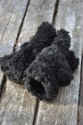 Teddyvantar svarta
