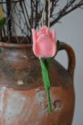 Tulpan h�nge rosa