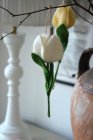 Tulpan h�nge vit