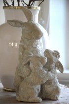 Hare, "Familjen"