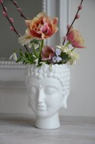 Buddha kruka, Majas Cottage