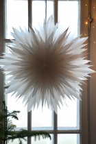 Pappersstjrna, DIS, 60 cm, TER I LAGER