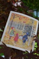 Disktrasa Elsa H�stpromenad