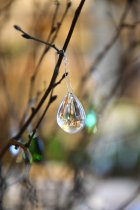 Droppe, Clear, 20-24 mm