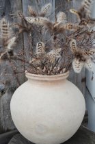 Fj�derknippen "blomma" melerade