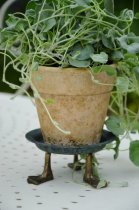 Krukfat med tassar melerad, "Joakim", liten