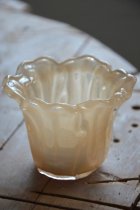 Ljuslykta blomma aprikos