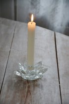 Kristalljusstake, Blomma