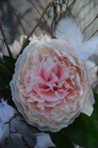 Pion, konstgjord, aprikos/rosa