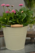 Hink cr�me, Milj�g�rden