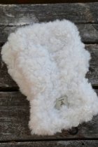 Teddyvantar vintervita