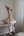 Mjukdjur flamingo med mssa, sittande