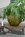 Tr�bricka p� f�tter rund, L, F�RHANDSBOKNING