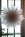 Pappersstjrna, DIS, 60 cm, TER I LAGER