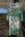 Kl�nning blommig gr�n, one size, Gemini