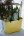 Vska Hinza, Green Plastic, Citrongul, liten