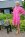 Kl�nning "Melody, cerise, one size, J�rlevik