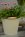 Hink cr�me, Milj�g�rden