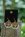 �rh�nge Tree of Life", amazonit