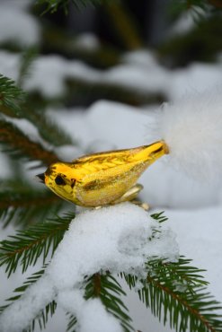 Fgel med klmma, gul, Antik