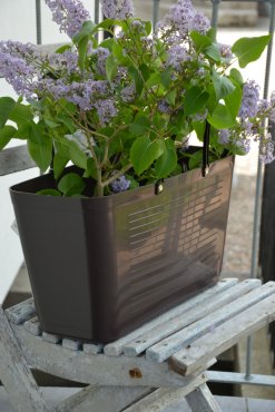 V�ska Hinza, Green Plastic stor Brun