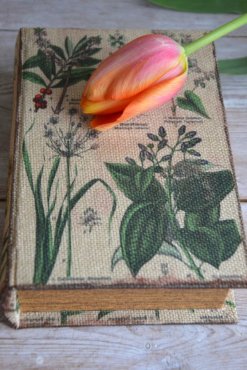 L�da med botaniskt m�nster, S, SLUT