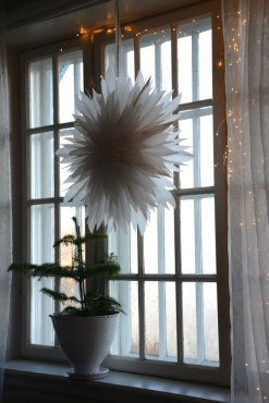 Pappersstjrna, DIS, 60 cm, TER I LAGER